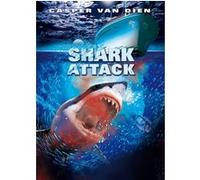 Shark attack E
