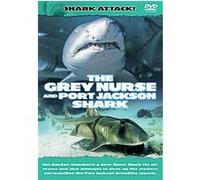 Shark Attack - The Grey Nurse And Port Jackson Shark G