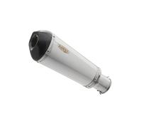 SHARK EXHAUST DSX-7 en acier inoxydable/argent carbone brossé, argent