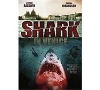 Shark In Venice G