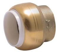 SharkBite UIP514A Capuchon en PVC poussoir en laiton, 1,27 cm