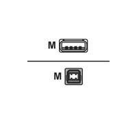 Sharkoon - Câble Usb - Usb A 4 Broches, Type A (M) - Usb A 4 Broches, Type B (M) - 0.5 M ( Usb / Usb 2.0 ) - Gris