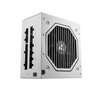 Sharkoon Rebel P20 - Alimentation 1000W ATX 3.1, 24-pin ATX, Blanc, Ventilateur 12cm, Câblage Modulaire, Protections multiples, 11x SATA, FDB