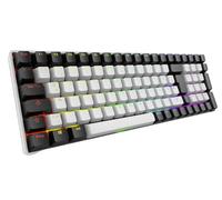 Sharkoon Skiller SGK50 S2 Gateron KS-9 Yellow Tenkeyless noir Clavier de jeu