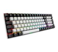 Sharkoon SKILLER SGK50 S2 RGB clavier gaming mécanique