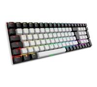 Sharkoon SKILLER SGK50 S2 RGB clavier gaming mécanique