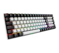 Sharkoon SKILLER SGK50 S2 RGB clavier gaming mécanique