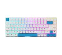 Sharkoon Skiller SGK50 S3 PBT blanc, clavier RVB de jeu, Gateron G PRO 3.0 jaune, 75 % de design