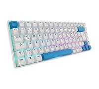 Sharkoon SKILLER SGK50 S3 PBT RGB clavier gaming mécanique