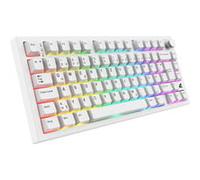 Sharkoon SKILLER SGK55W RGB clavier gaming