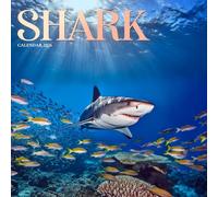 Sharks 2026 Calendar: Powerful Marine Wildlife Photography of Ocean Predators