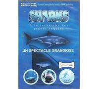 Sharks - À La Recherche Des Grands Requins