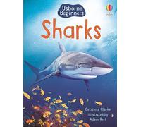 Sharks (Beginners)