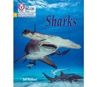 Sharks by Ben Hubbard Ben Hubbard (Auteur)