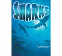 Sharks by John Townsend John Townsend, Danny Pearson (Auteur)