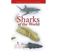 Sharks Of The World, Princeton Field Guides Leonard Compagno, Marc Dando, Sarah L. Fowler (Auteur)