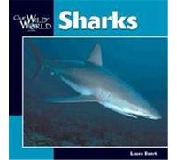Sharks, Our Wild World Series Laura Evert (Auteur)