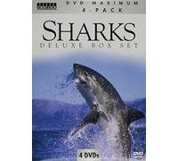 SHARKS/PLANET OCEAN