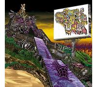 Take Caution on The Beach