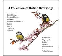 Sharon Shinwell - British Birdsong CD. A unique collection of British Bird Songs comprises of individual birds and groups. Great for bird song recognition or purely for relaxation.