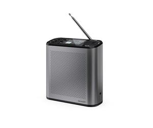 Sharp DR-P530(GY) Radio numérique Portable Osaka, Dab+, Dab et FM avec RDS, Bluetooth 5.3, écran Couleur 2,4", Alimentation USB-C ou Batterie au Lithium intégrée, Haut-Parleur intégré, Connexion