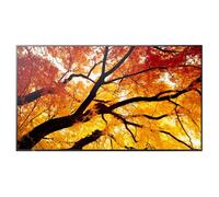 Sharp Écran LCD MultiSync E244F 24 pouces pour les applications bureautiques et industrielles