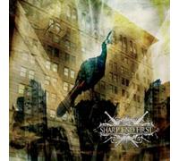 Sharp End First - Rule the Day