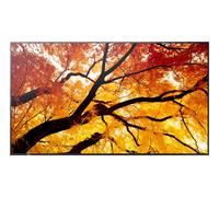 Sharp MODELE PN-M752, Écran grand format M-Series de 75", UHD, 550 cd/m2, rétroéclairage D-LED, résistant au fonctionnement 24/7, emplacement SDM, emplacement C
