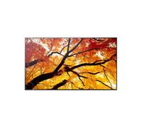 Sharp MultiSync M322 Écran grand format professionnel de 32 pouces