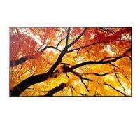 Sharp MultiSync M432 e diagonale 43" (42.5" visualisable) - M2 Series écran LCD rétro-éclairé par LED - signalisation numérique - avec lecteur multimédia intégré / capacité PC à insertion op