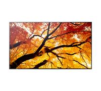 Sharp MultiSync M432, Écran plat de signalisation numérique, 108 cm (42.5'), LCD, 3840 x 2160 pixels 60006053