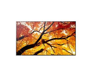 Sharp MultiSync M502 Écran grand format professionnel de 50 pouces