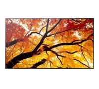 Sharp MultiSync M552 Écran LCD grand format 55 pouces pour affichage de messages