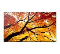 Sharp MultiSync PN-M862 - 86" M2 Series écran LCD rétro-éclairé par LED - signalisation numérique - 4K UHD (2160p) 3840 x 2160 - Direct LED