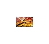 Sharp MultiSync PN-M982 e diagonale 98" (97.5" visualisable) - PN-M Series écran LCD rétro-éclairé par LED - signalisation numérique - 4K