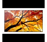 Sharp MultiSync PN-M982 Écran LED 97.5" 4K Ultra HD 550cd/m² IPS 1200:1 HDMI 2.0/DisplayPort 1.4 24/7 VESA 600x400mm Noir