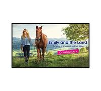 Sharp PN-Hs551 Digital Signage 138cm (55") 4k Uhd, 3840x2160 4k Uhd, 16:9, 3x Hdmi, Usb, 24/7 [energieklasse G] (pnhs551)
