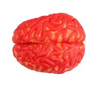 Sharplace Accessoire d'horreur d'halloween Cerveau Humain Organes sanglants Faux Cerveau Sanglant Vinyle Festival Fausses Parties d'organes du Corps Décoration
