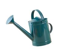 Sharplace Arrosoir en métal 4 L avec tête Amovible et arroseur à 2 poignées, résistant à la Rouille, Outil de Jardinage pour Fleurs d'intérieur et, Bleu