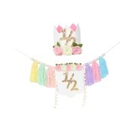 Sharplace Bannière de Chaise Haute pour 1/2 Anniversaire, décoration de Demi-Anniversaire, Toile de Fond décorative, Guirlande de Pompons en Fil pour, Multicolore avec Chapeau
