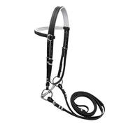 Sharplace Bride de Cheval avec rêne, têtière, équipement équestre, Harnais, Licol, Corde d'équitation pour Sentier, L Black