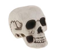 Sharplace Crâne en Plastique Tête Figurine Animal Squelette Statue Halloween Décor, A 12x13x18cm
