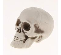 Sharplace Crâne en Plastique Tête Figurine Animal Squelette Statue Halloween Décor, E