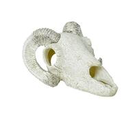 Sharplace Décoration de Navire de pêche Reptile Décor de réservoir squeleton Animal Head Hideaway Accessoires décoratif Refuge Reptile pour, Corne de Mouton Blanc