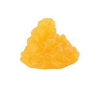 Sharplace Modèle anatomique de corporelle humaine, jouet pédagogique, modèle structurel portable, physiologie, tissu adipeux humain, rappel pour les