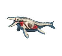 Sharplace Modèle de corps d'animal pour l'apprentissage de la biologie animale, kit scientifique, jouet pédagogique pour enfants de 8 ans et plus, 3106