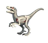 Sharplace Modèle de corps d'animal pour l'apprentissage de la biologie animale, kit scientifique, jouet pédagogique pour enfants de 8 ans et plus, 3105