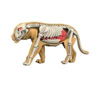 Sharplace Modèle de corps d'animal pour l'apprentissage de la biologie animale, kit scientifique, jouet pédagogique pour enfants de 8 ans et plus, 3107