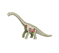 Sharplace Modèle de corps d'animal pour l'apprentissage de la biologie animale, kit scientifique, jouet pédagogique pour enfants de 8 ans et plus, 3103