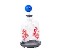 Sharplace Modèle de Démonstration de La Fonction Pulmonaire Jouet éducatif Diy pour Les écoliers Adolescents